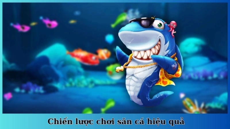 Chiến lược chơi săn cá hiệu quả