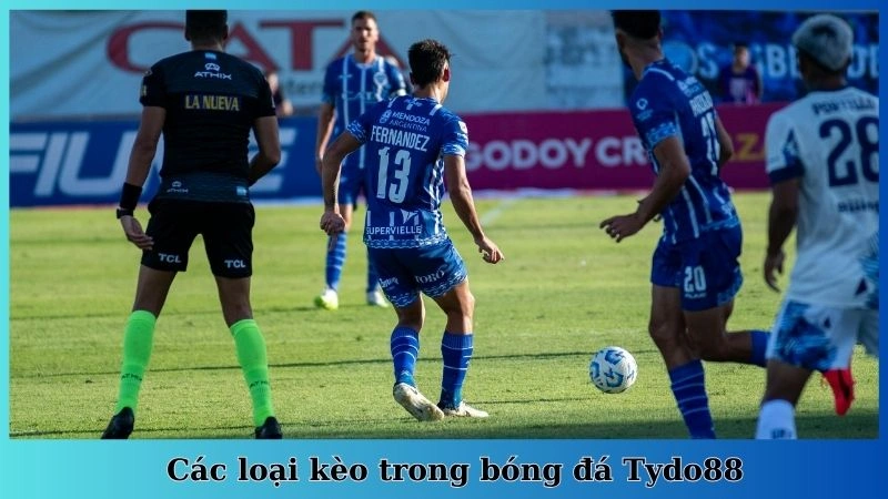 Các loại kèo trong bóng đá Tydo88