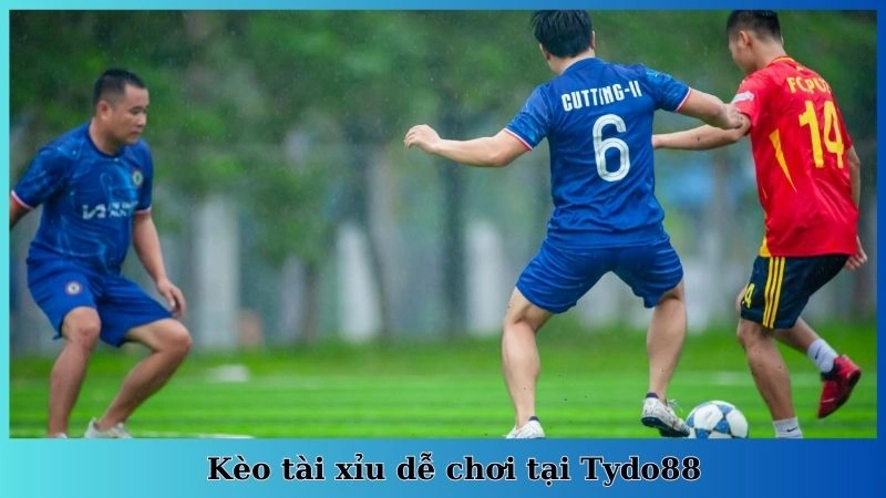 Kèo tài xỉu dễ chơi tại Tydo88