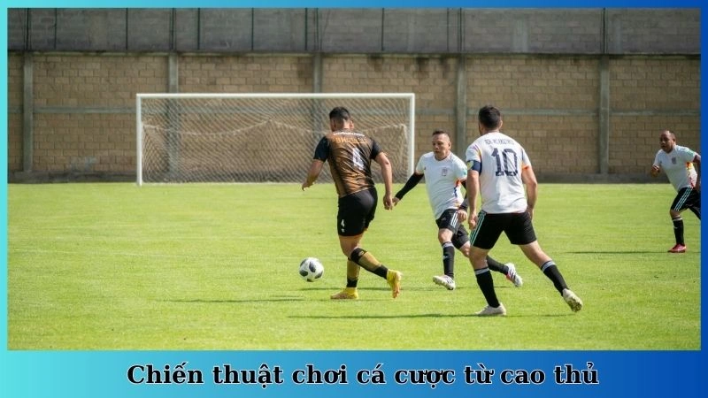 Chiến thuật chơi cá cược từ cao thủ