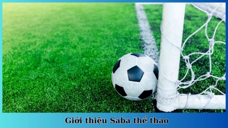Giới thiệu Saba thể thao