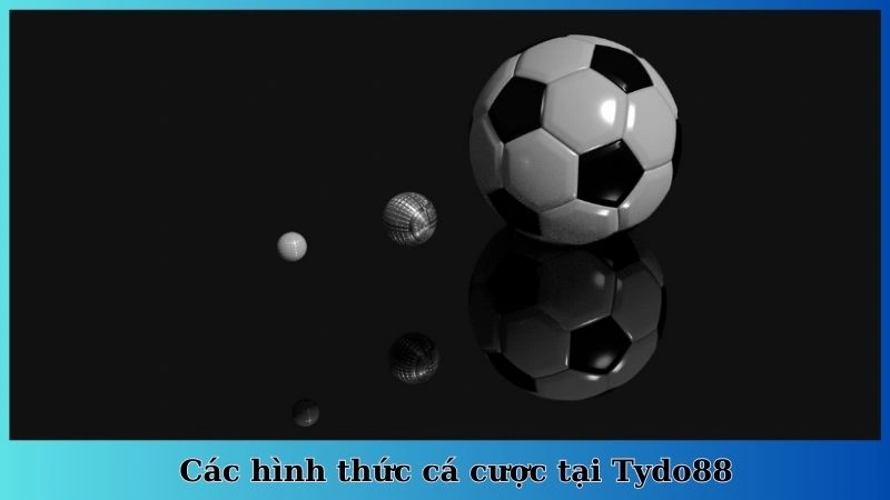 Các hình thức cá cược tại Tydo88