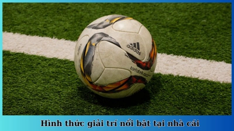 Hình thức giải trí nổi bật tại nhà cái