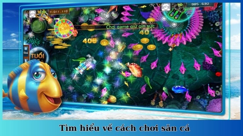 Tìm hiểu về cách chơi săn cá